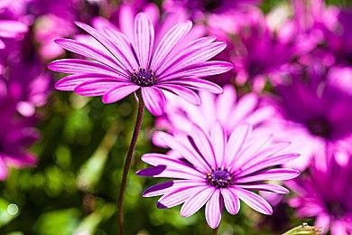 《罪恶装备：Strive》或于3月7日登陆XSX|S