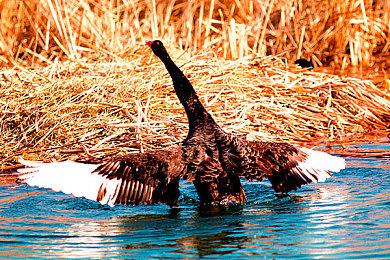 《使命召唤：现代战争3》单人战役IGN 4分：太无聊